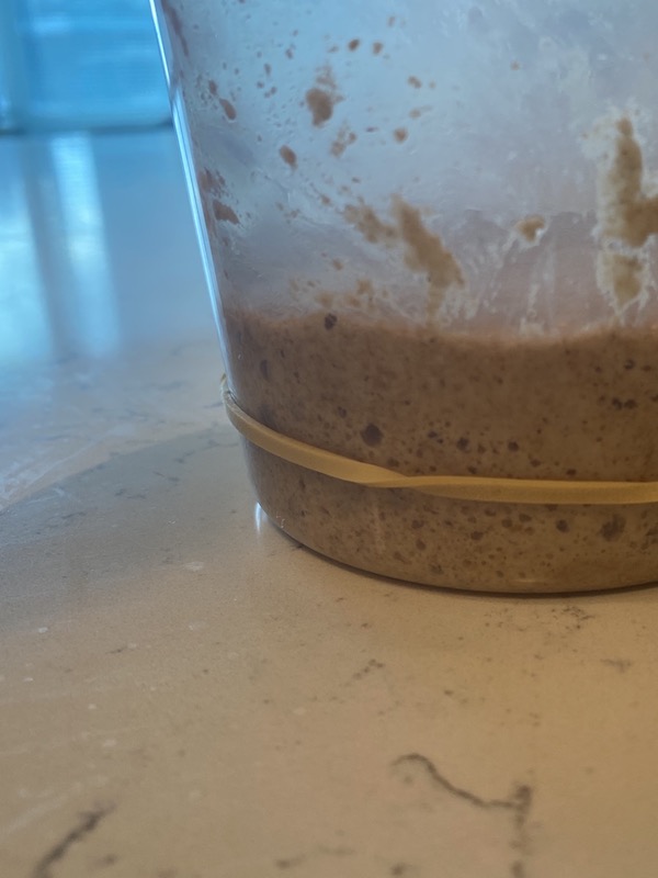 Sourdough Starter